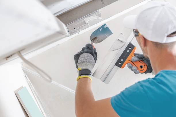 Best Forensic Mold Investigation  in Hahnville, LA